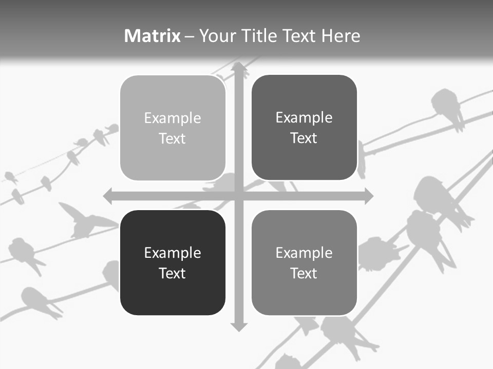 A Group Of Birds Sitting On Top Of Power Lines PowerPoint Template