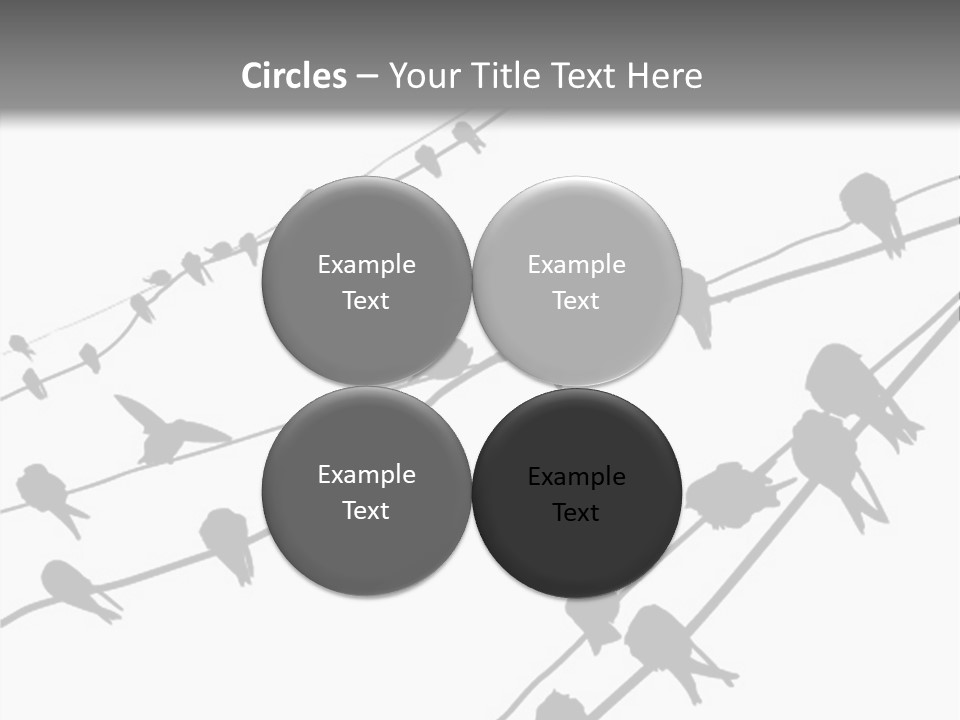 A Group Of Birds Sitting On Top Of Power Lines PowerPoint Template