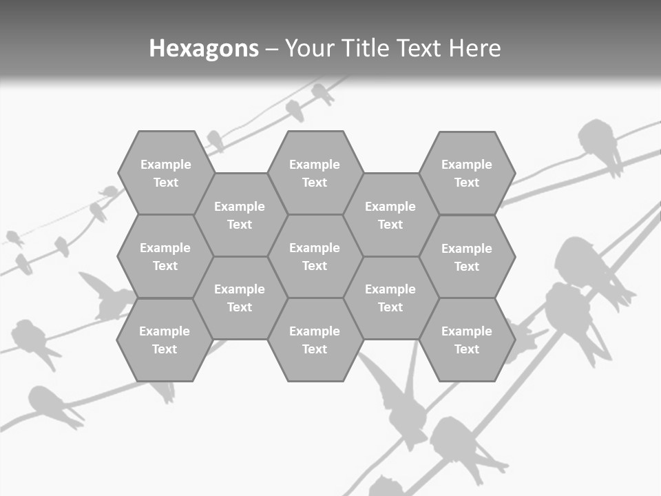 A Group Of Birds Sitting On Top Of Power Lines PowerPoint Template