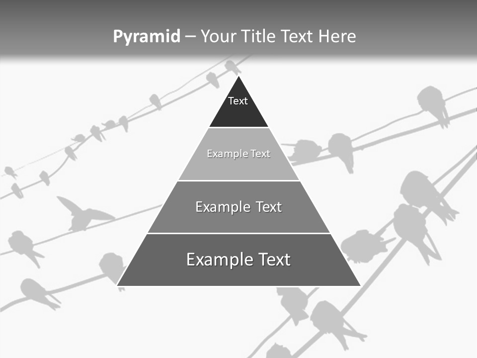 A Group Of Birds Sitting On Top Of Power Lines PowerPoint Template
