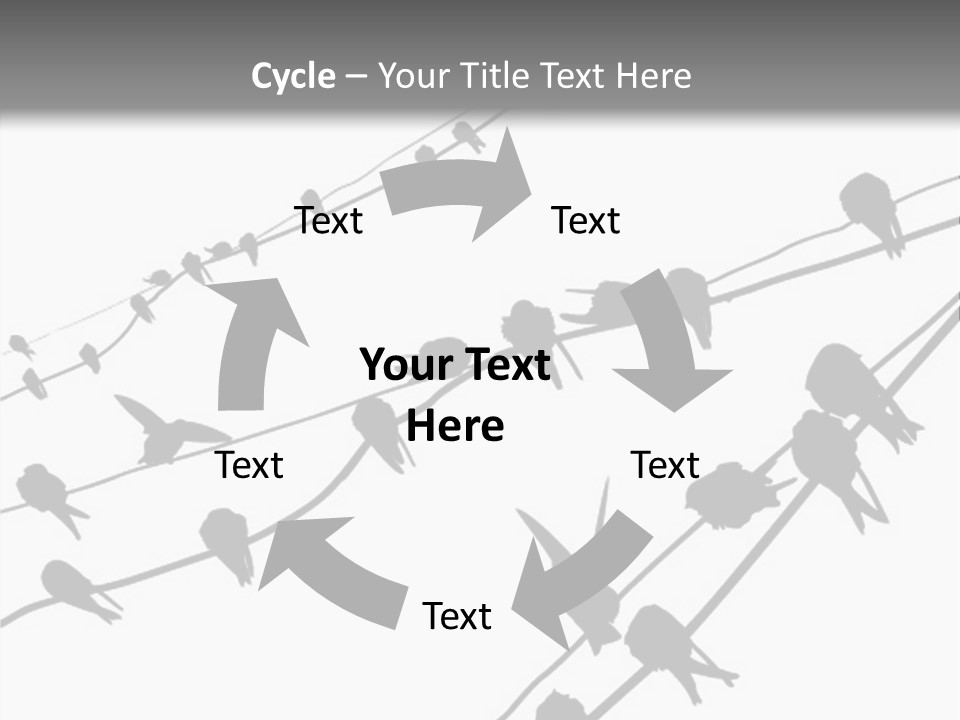 A Group Of Birds Sitting On Top Of Power Lines PowerPoint Template