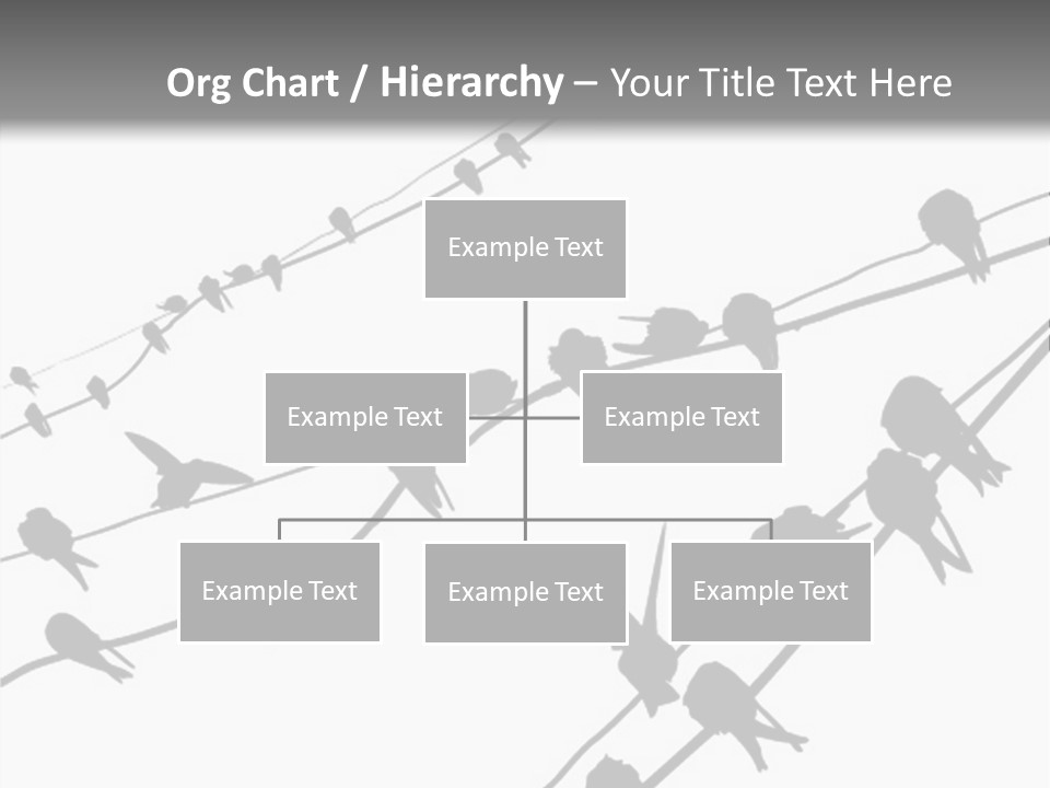 A Group Of Birds Sitting On Top Of Power Lines PowerPoint Template