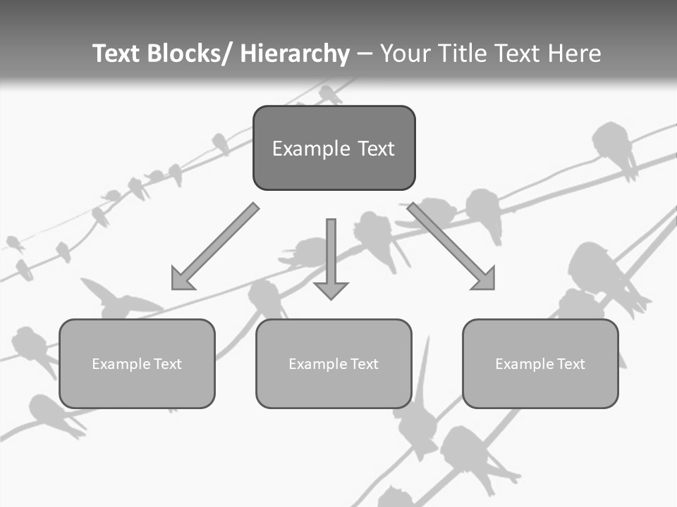 A Group Of Birds Sitting On Top Of Power Lines PowerPoint Template