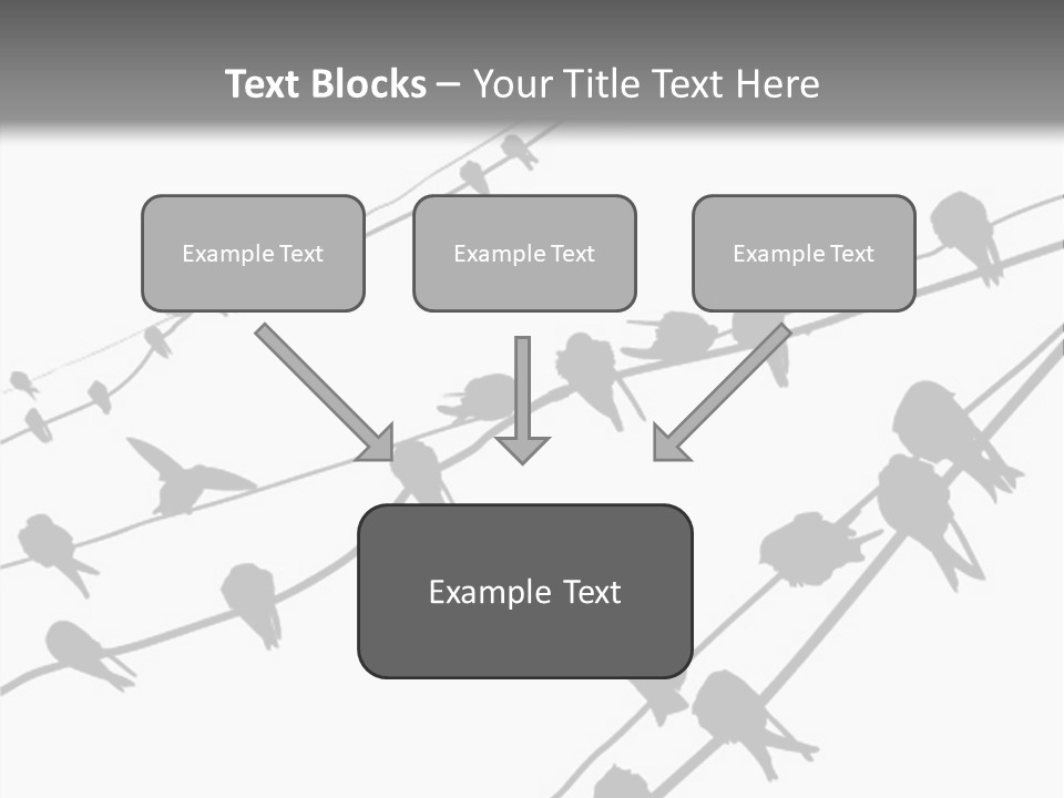 A Group Of Birds Sitting On Top Of Power Lines PowerPoint Template