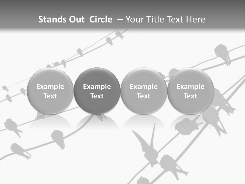 A Group Of Birds Sitting On Top Of Power Lines PowerPoint Template