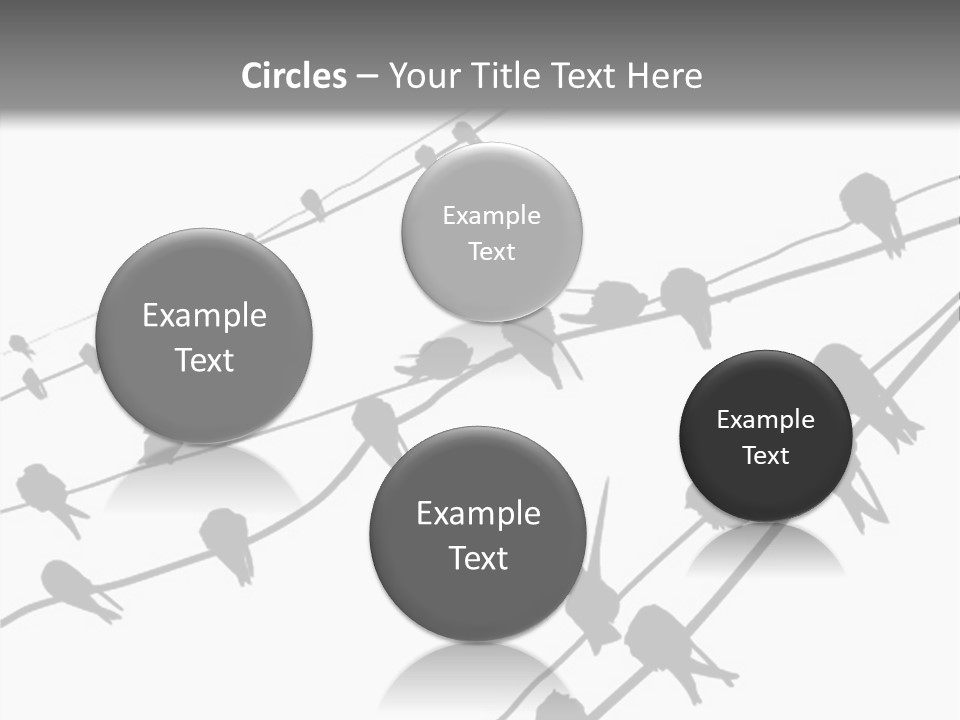 A Group Of Birds Sitting On Top Of Power Lines PowerPoint Template