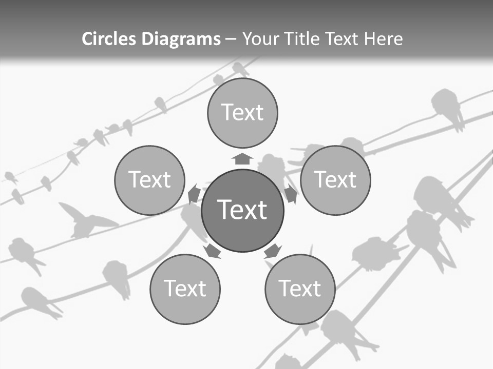 A Group Of Birds Sitting On Top Of Power Lines PowerPoint Template