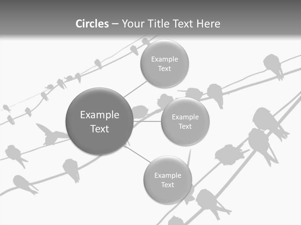 A Group Of Birds Sitting On Top Of Power Lines PowerPoint Template