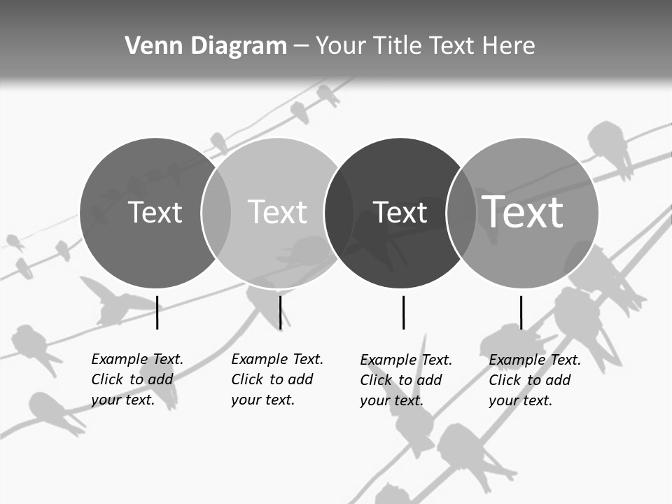 A Group Of Birds Sitting On Top Of Power Lines PowerPoint Template