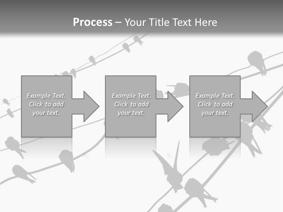 A Group Of Birds Sitting On Top Of Power Lines PowerPoint Template