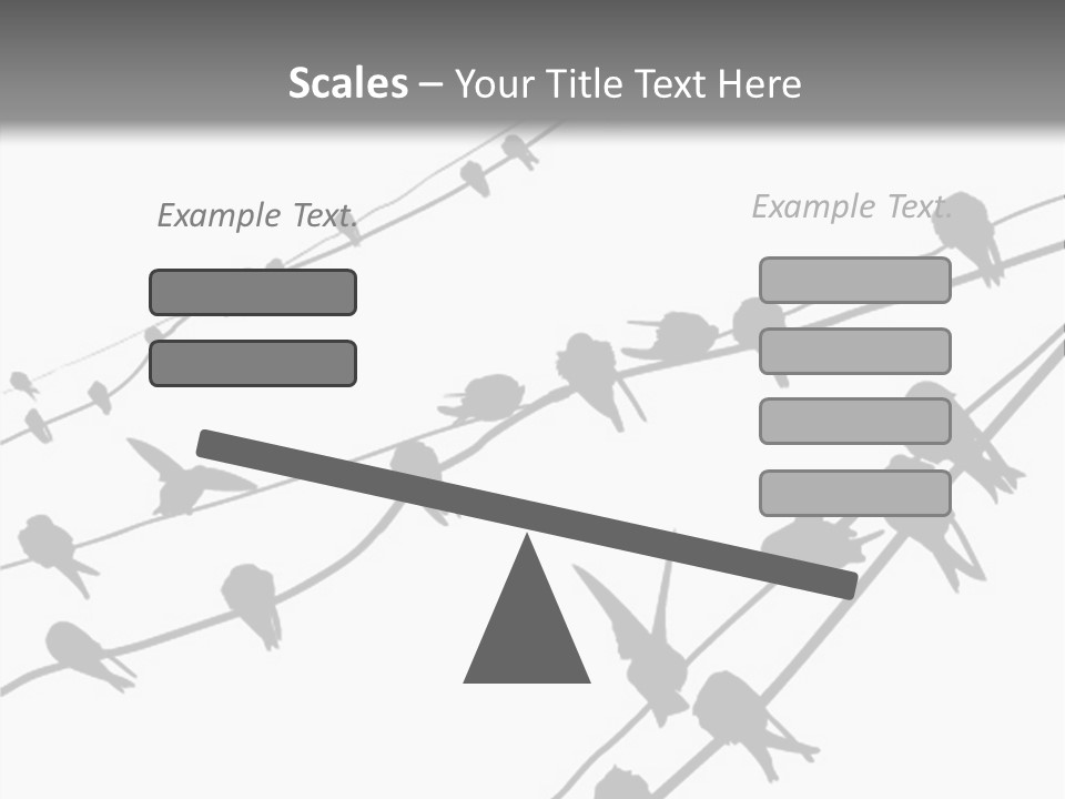 A Group Of Birds Sitting On Top Of Power Lines PowerPoint Template