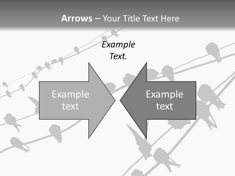 A Group Of Birds Sitting On Top Of Power Lines PowerPoint Template