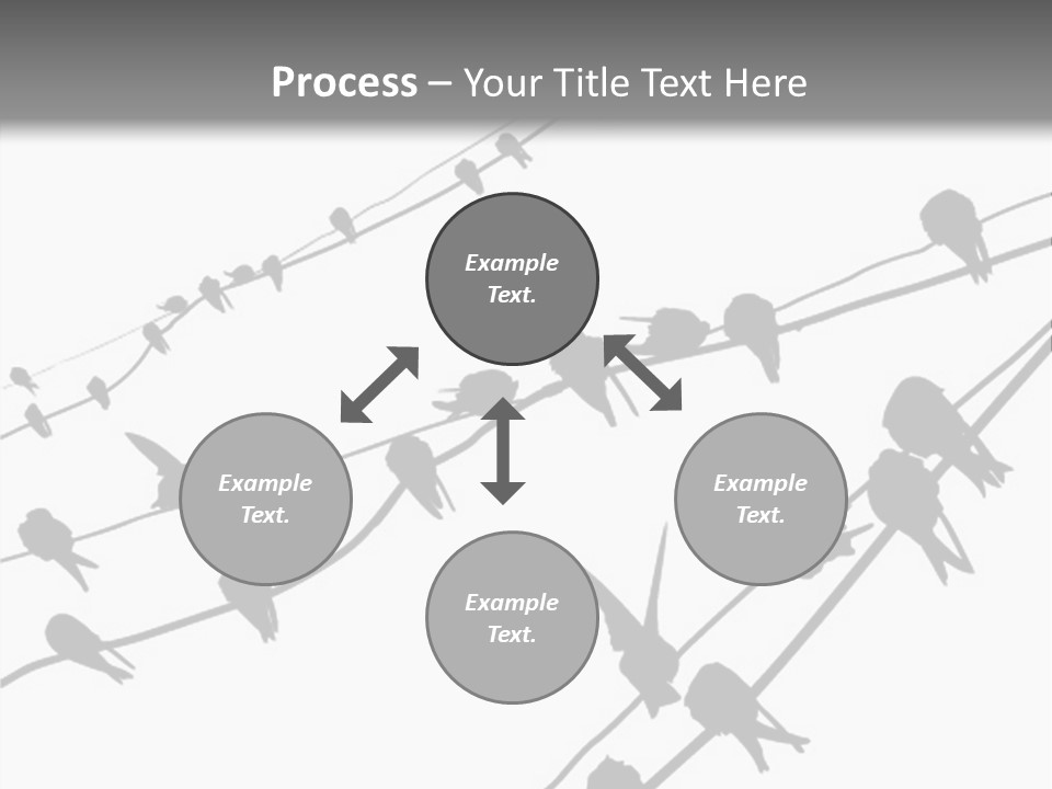 A Group Of Birds Sitting On Top Of Power Lines PowerPoint Template