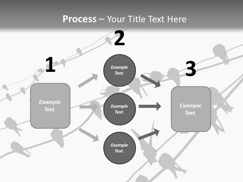 A Group Of Birds Sitting On Top Of Power Lines PowerPoint Template
