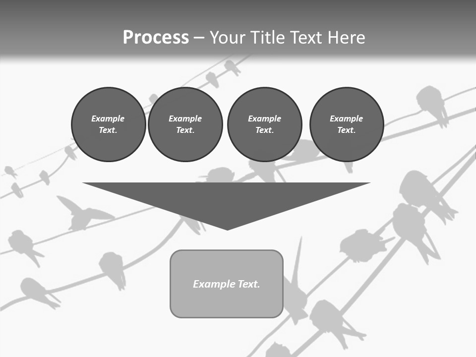 A Group Of Birds Sitting On Top Of Power Lines PowerPoint Template