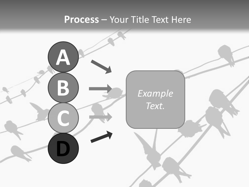 A Group Of Birds Sitting On Top Of Power Lines PowerPoint Template