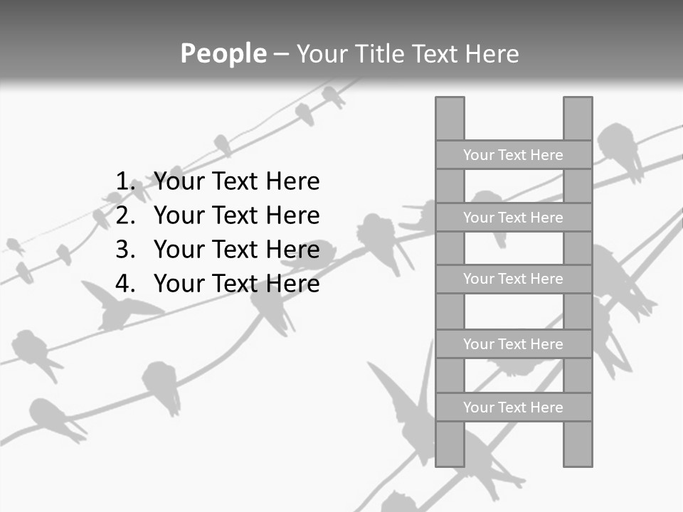 A Group Of Birds Sitting On Top Of Power Lines PowerPoint Template