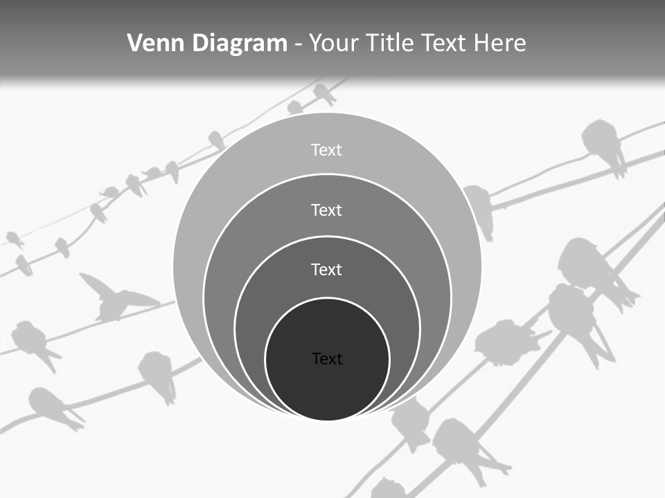 A Group Of Birds Sitting On Top Of Power Lines PowerPoint Template