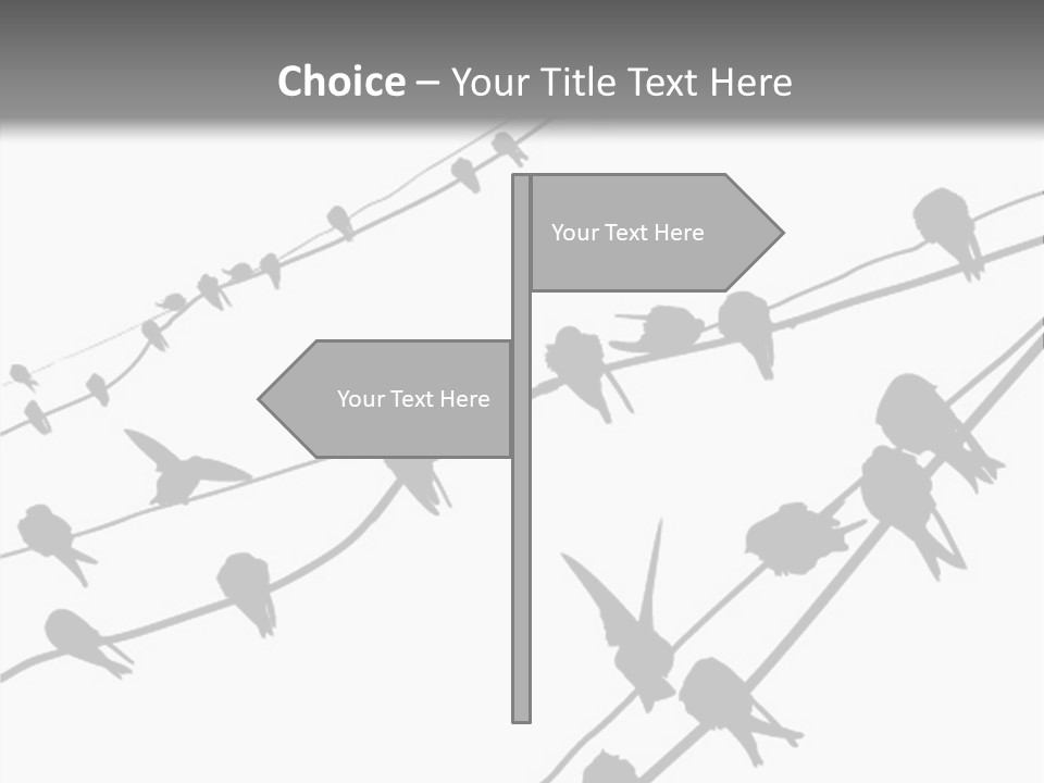 A Group Of Birds Sitting On Top Of Power Lines PowerPoint Template