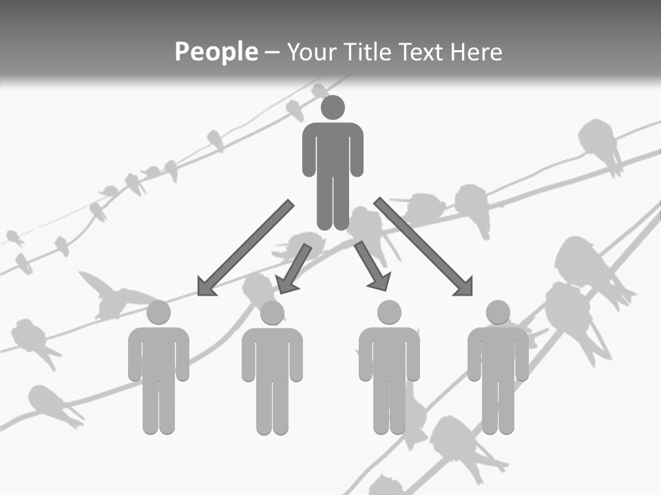 A Group Of Birds Sitting On Top Of Power Lines PowerPoint Template