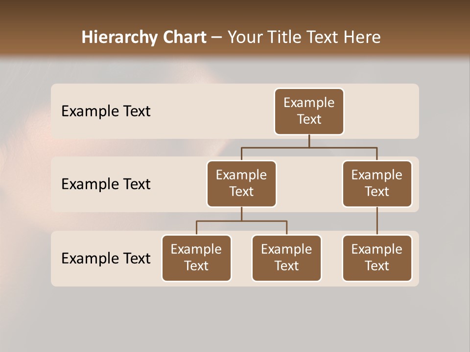 Glamour Fashion Female PowerPoint Template