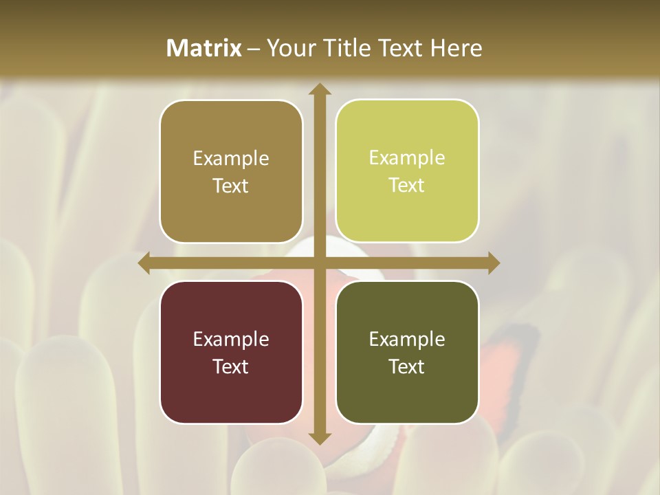 Hide Borneo Wildlife PowerPoint Template