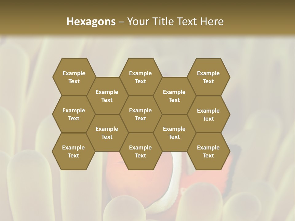 Hide Borneo Wildlife PowerPoint Template