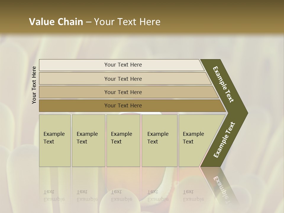 Hide Borneo Wildlife PowerPoint Template