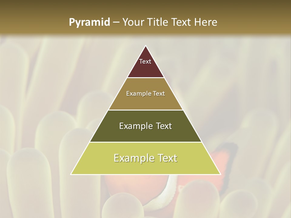 Hide Borneo Wildlife PowerPoint Template