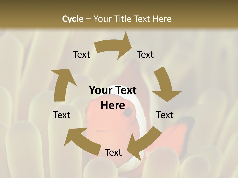 Hide Borneo Wildlife PowerPoint Template