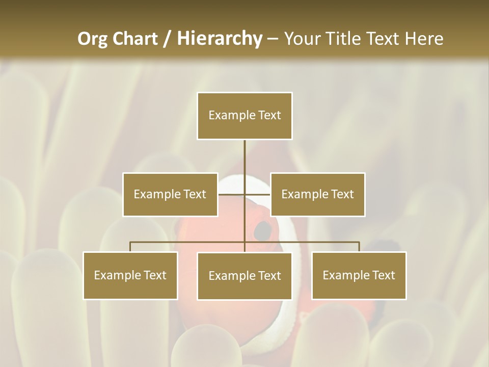 Hide Borneo Wildlife PowerPoint Template