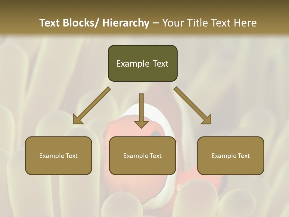 Hide Borneo Wildlife PowerPoint Template