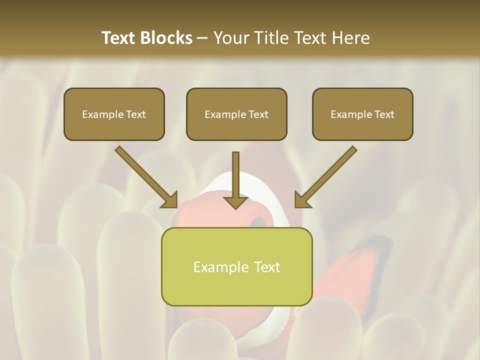 Hide Borneo Wildlife PowerPoint Template