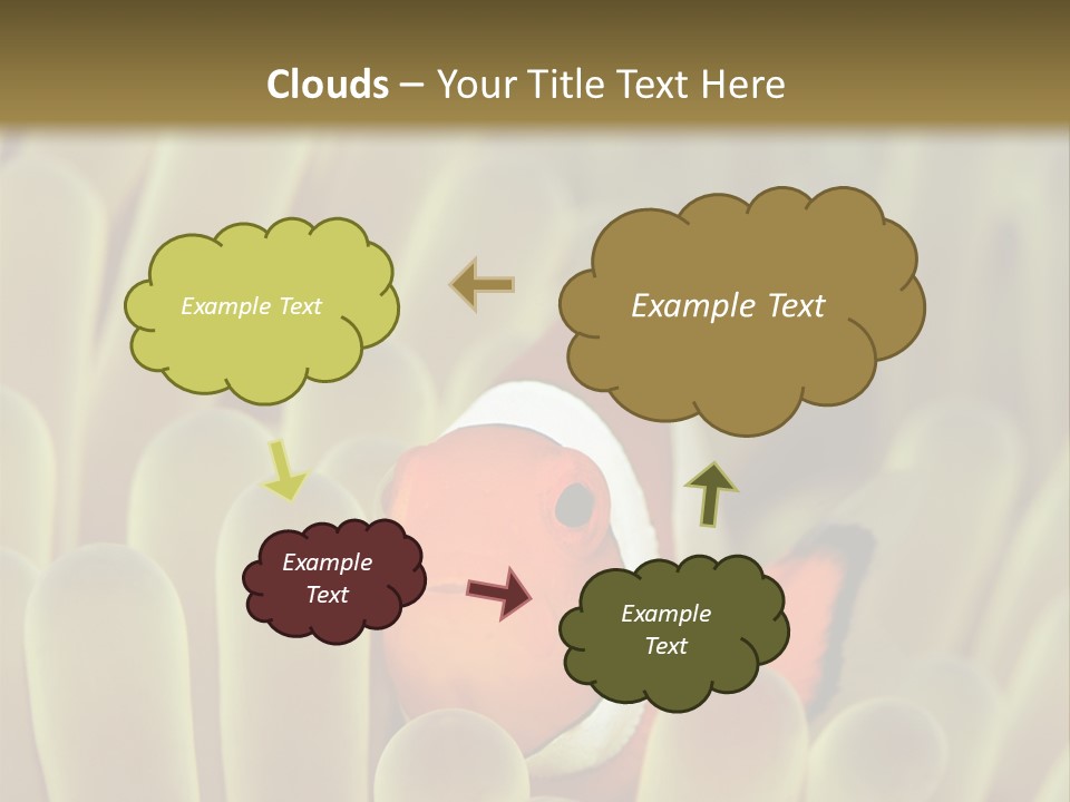 Hide Borneo Wildlife PowerPoint Template