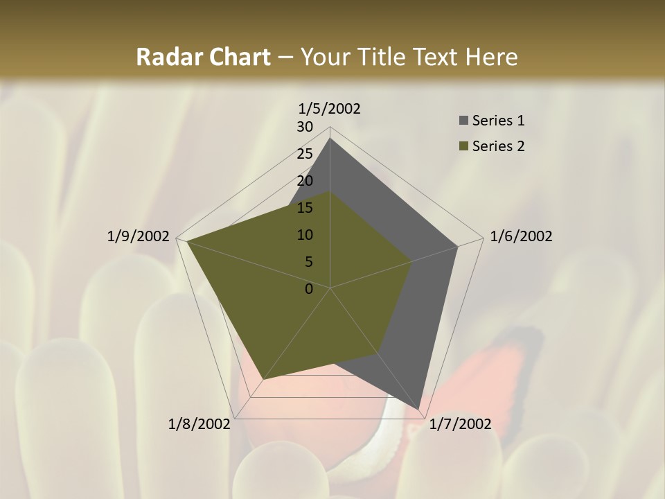 Hide Borneo Wildlife PowerPoint Template