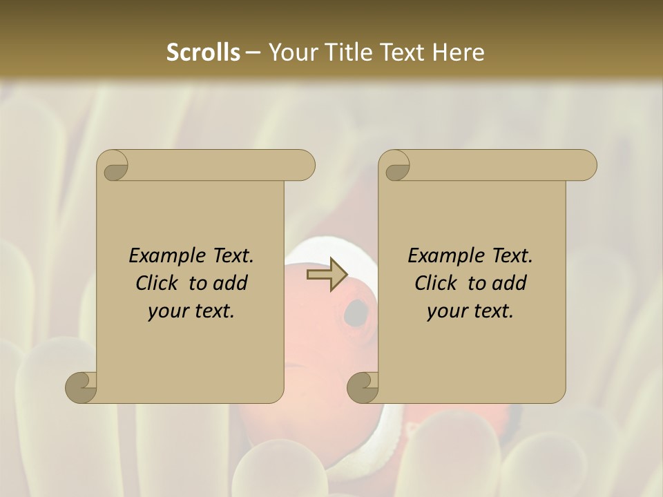 Hide Borneo Wildlife PowerPoint Template