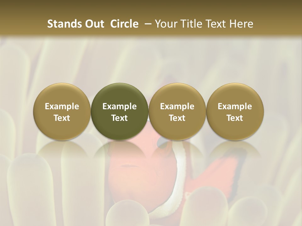 Hide Borneo Wildlife PowerPoint Template