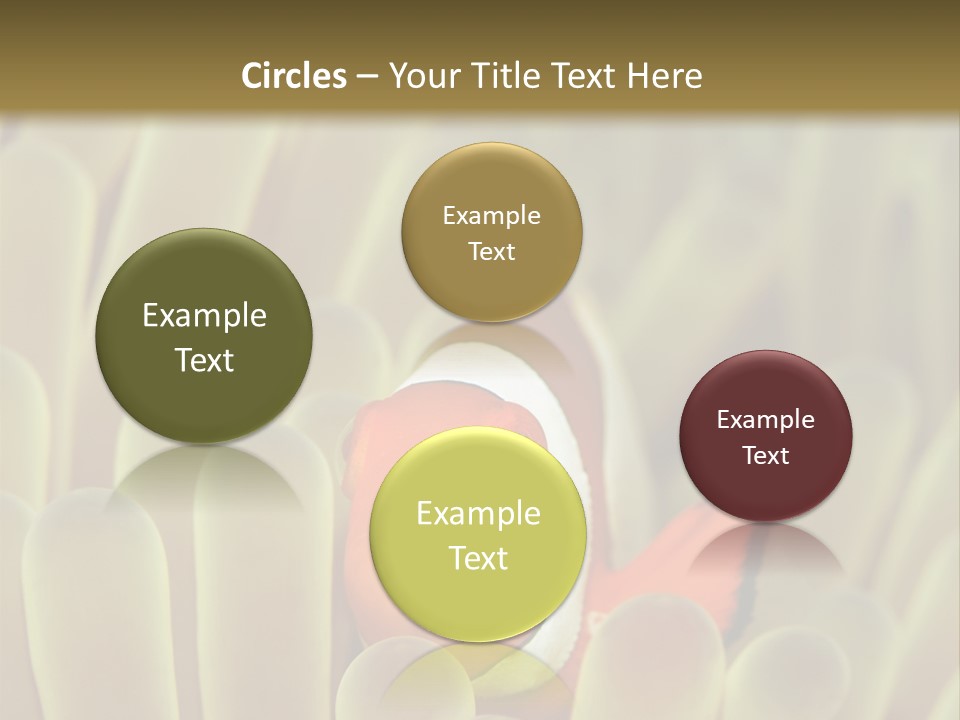 Hide Borneo Wildlife PowerPoint Template