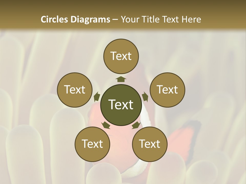 Hide Borneo Wildlife PowerPoint Template