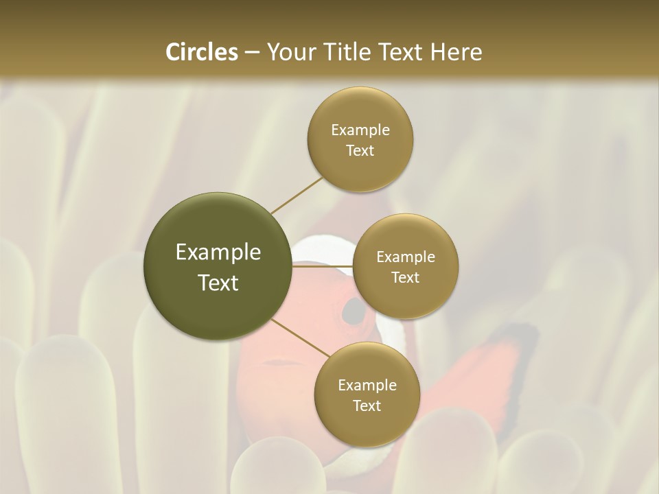 Hide Borneo Wildlife PowerPoint Template