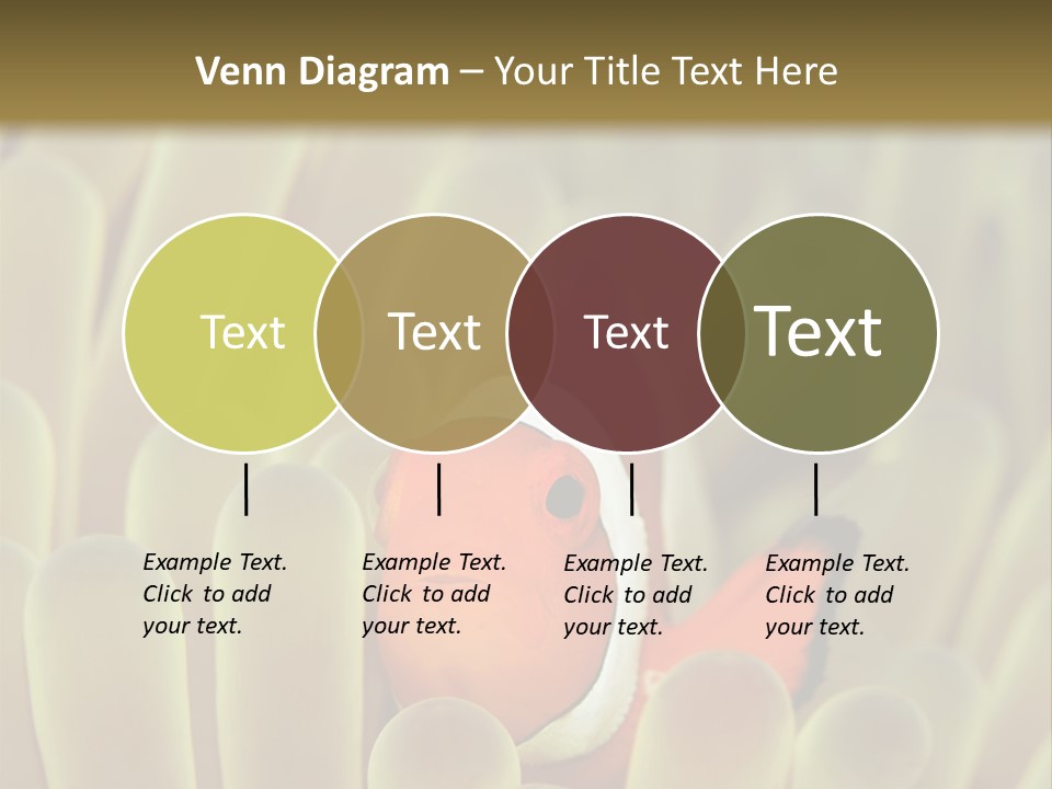 Hide Borneo Wildlife PowerPoint Template