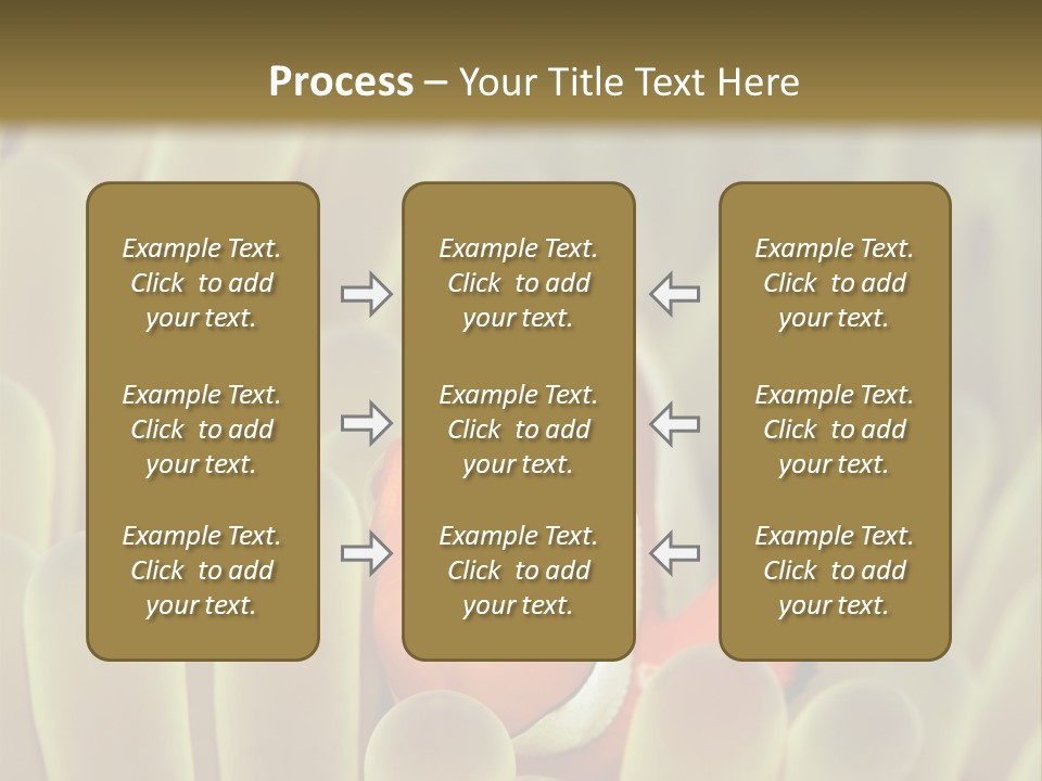 Hide Borneo Wildlife PowerPoint Template
