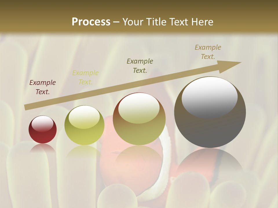 Hide Borneo Wildlife PowerPoint Template