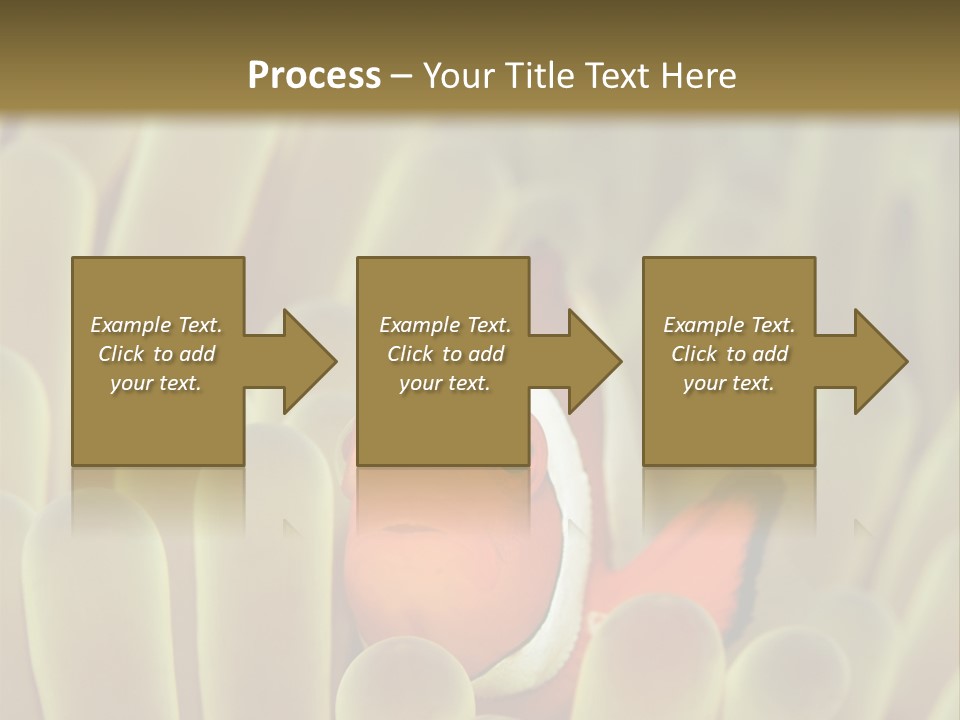 Hide Borneo Wildlife PowerPoint Template