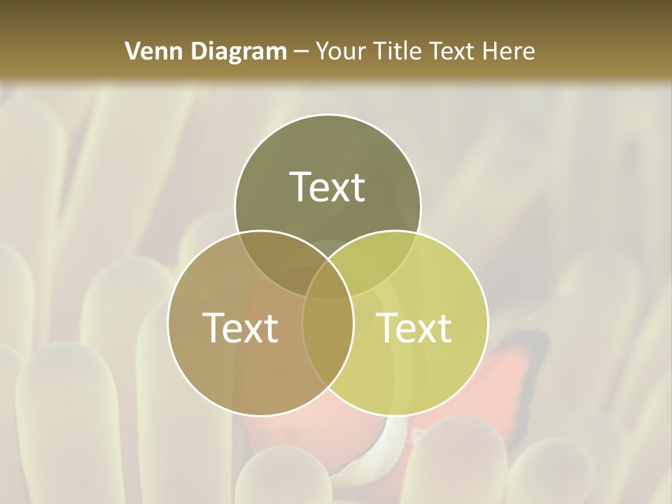 Hide Borneo Wildlife PowerPoint Template