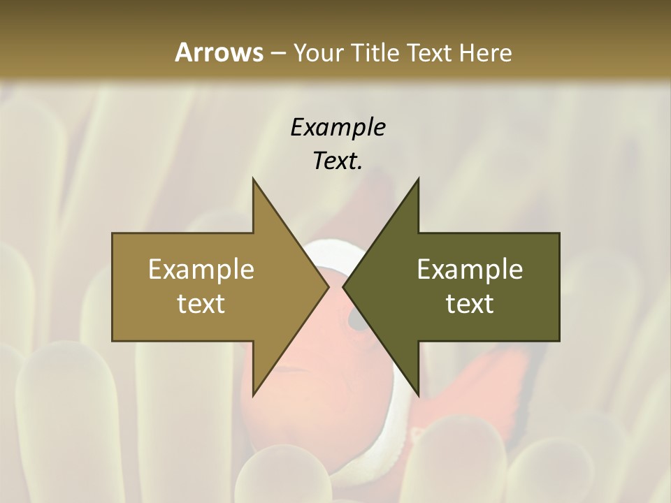 Hide Borneo Wildlife PowerPoint Template