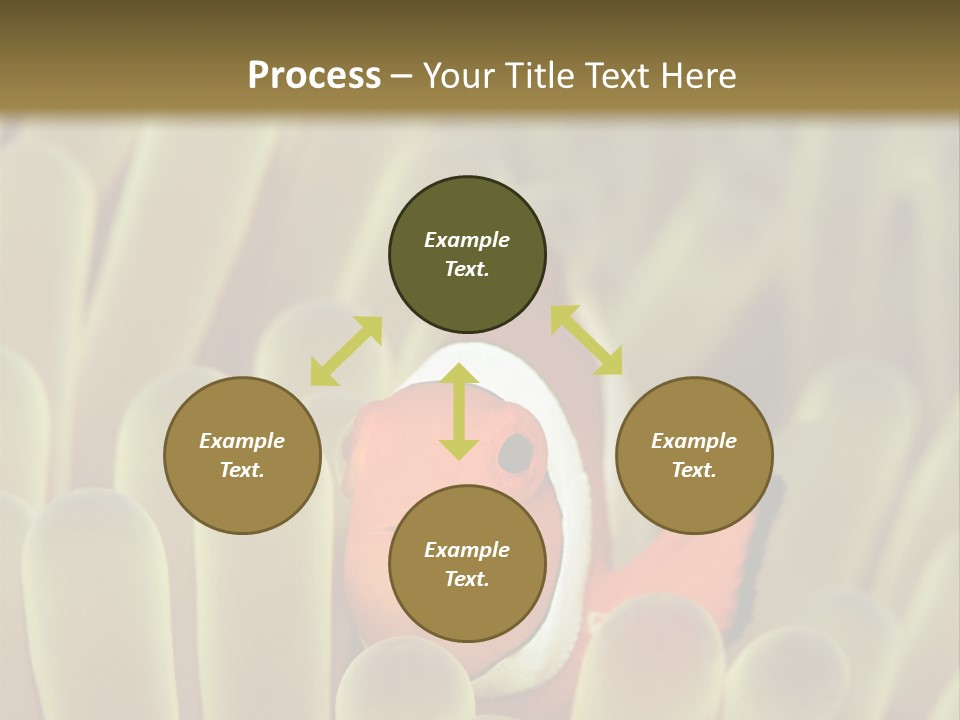 Hide Borneo Wildlife PowerPoint Template