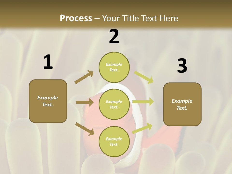 Hide Borneo Wildlife PowerPoint Template