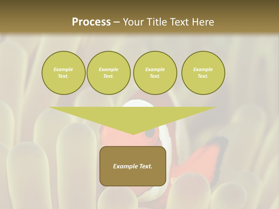 Hide Borneo Wildlife PowerPoint Template