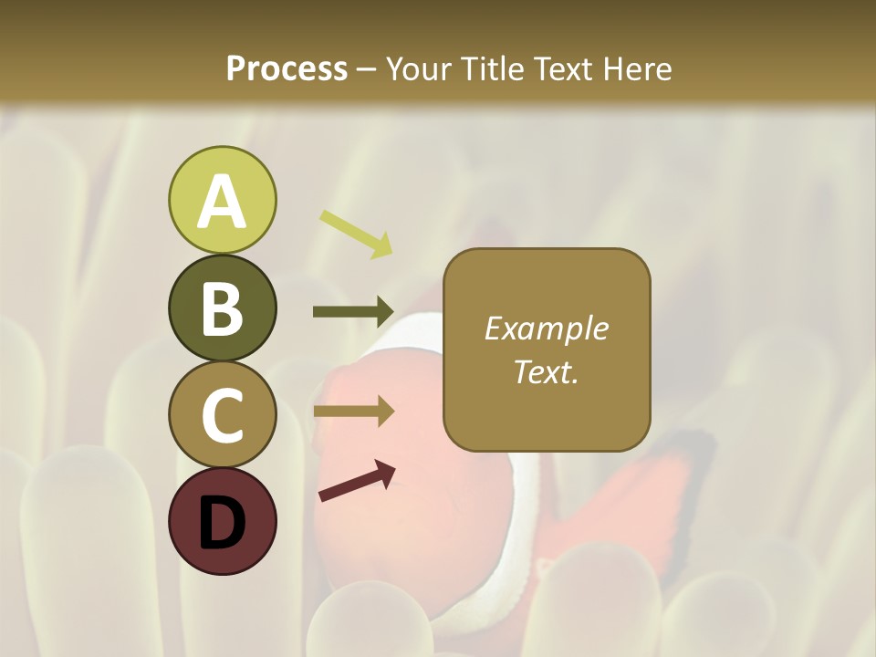 Hide Borneo Wildlife PowerPoint Template